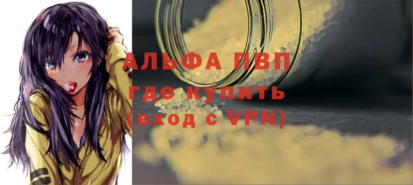 гидра Алзамай