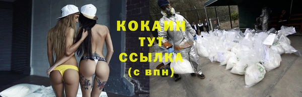сатива Абдулино