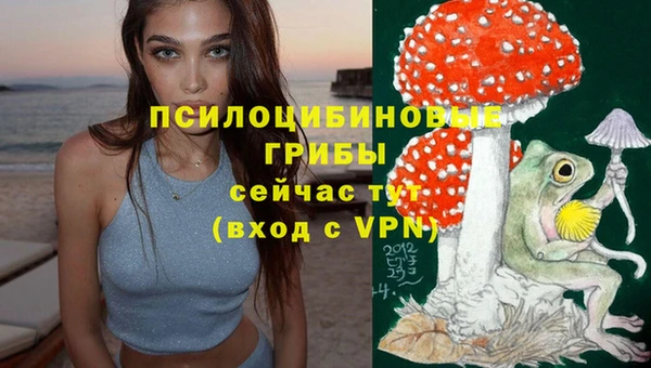 гидра Алзамай