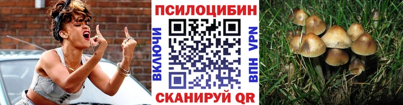 мега онион  Щёлкино  Галлюциногенные грибы ЛСД  купить  